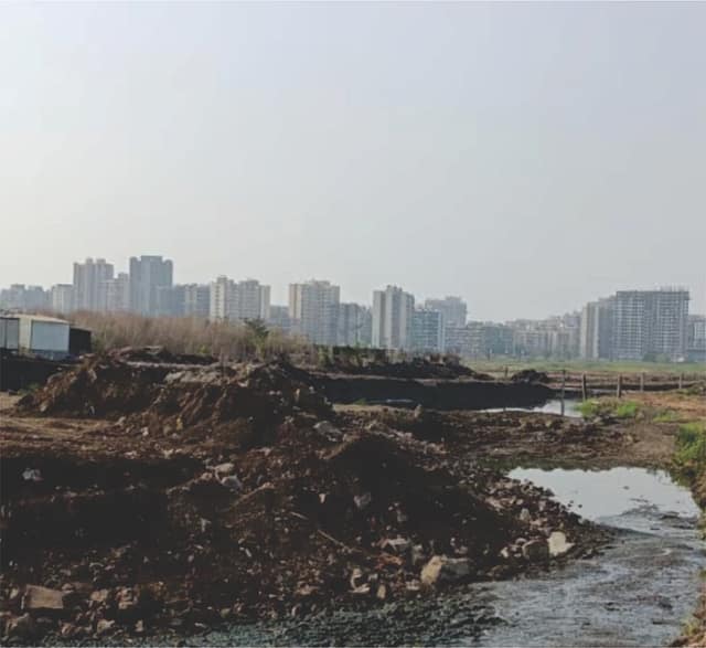 विरार-नालासोपारा खाडी पात्रात अनधिकृत माती भराव; पूराचा धोका वाढला, तहसीलदारांकडून चौकशीचे आदेश विरार-नालासोपारा खाडी पात्रात अनधिकृत माती भराव; पूराचा धोका वाढला, तहसीलदारांकडून चौकशीचे आदेश
